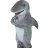 sharked