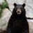 freakybear